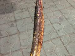 秋刀鱼-啊溜烧烤·炭火传承(南澳店)