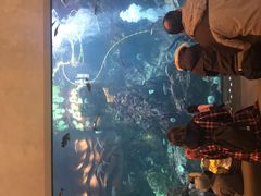 -西雅图水族馆