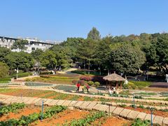 -天河儿童公园
