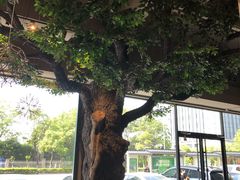 -迪欧咖啡·中西餐融合菜(平江万达旗舰店)