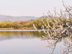 -颐和园