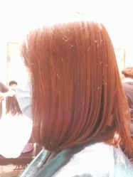 -东方麒麟·潘多拉SALON