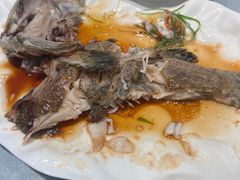 -佳兰雅序融合菜(高新店)