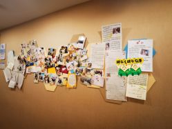 点击看大图 -海豚湾高端月子会所(黄浦店)