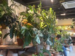 -自由生长植物工作室(深港花卉中心店)