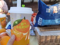 -深圳湾公园(南山区)