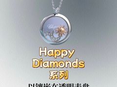 -海星奢选二手奢侈品手表包包鉴定回收寄卖(墨玉南路店)