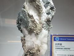 -中国地质大学逸夫博物馆