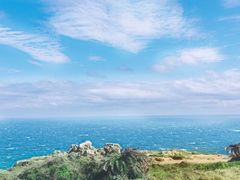 -白沙湾海滩