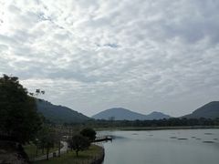 -风云岭森林公园