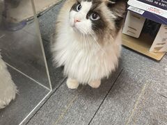 -零纪元VR体验馆·桌游(黄浦店)