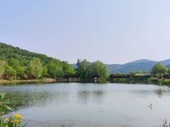 -石塘人家