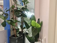 -天真蓝照相馆(杭州滨江宝龙店)