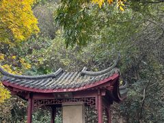 -幕燕滨江·长江观音景区