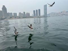-黑石礁公园