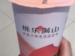 -桃乐满山(川沙百联店)