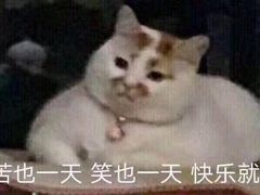 -姚记炒肝店(簋街店)