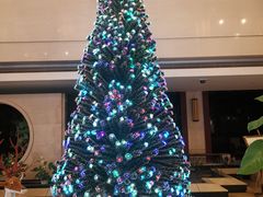 -浙江宾馆·花园餐厅·自助餐厅·茶吧