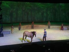 -cavalia·舞马