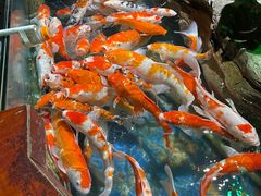 -太平洋海底世界