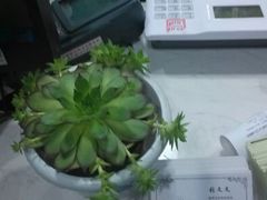 android_upload_pic-翰皇直营洗衣洗鞋(望京鹿港店)