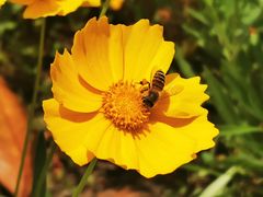 -眉山湿地公园(东坡区)