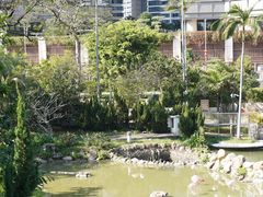 -石排湾郊野公园