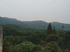 -白马涧龙池景区