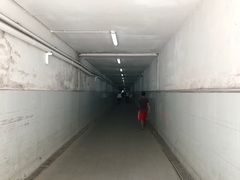 -平湖站