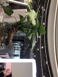 -MYYF SALON烫发染发