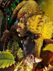 -恐龙探索乐园(磁器口店)