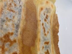 -北李妈妈菜·海肠捞饭(开发区万达店)