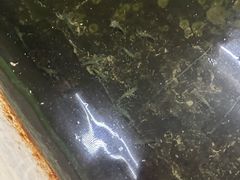 -会江钓鱼钓虾烧烤场