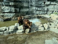 -北京野生动物园