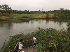 -白鹭湾湿地公园