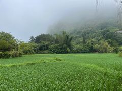 -靖西鹅泉风景区