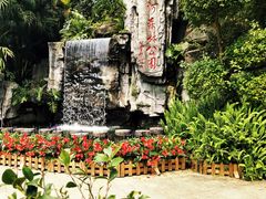 -广州市流溪河国家森林公园