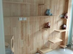 -纳吉亚猫专科动物医院博雅分院
