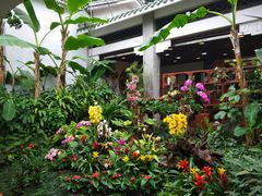 -玫瑰甜品(文明路店)