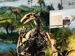 -自贡恐龙博物馆