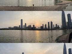 -深圳人才公园