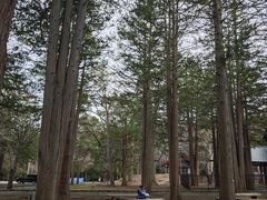 -北海道神宫