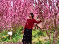 -桃源山庄·水蜜桃采摘·柴火鸡·烧烤团建(龙泉山店)