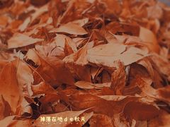 -粒上皇(崇文门店)