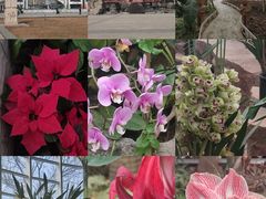 -石家庄市植物园
