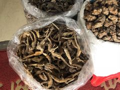 -清平中药材专业市场