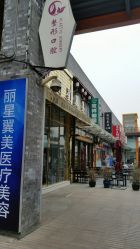 -北京丽星翼美医疗美容