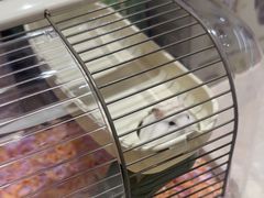 -FAELING PETS美天灵宠物(合生汇店)