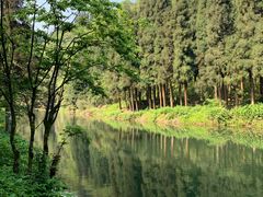 景点-龙苍沟森林公园