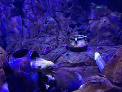 -波塞冬旅游度假区